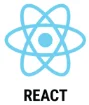 React JS logo