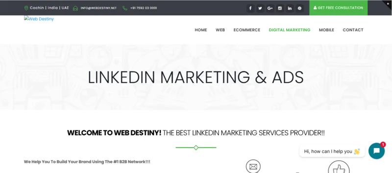 8 Best LinkedIn Marketing Companies in India for B2B Growth - 3. Web Destiny