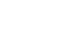MIPPL logo
